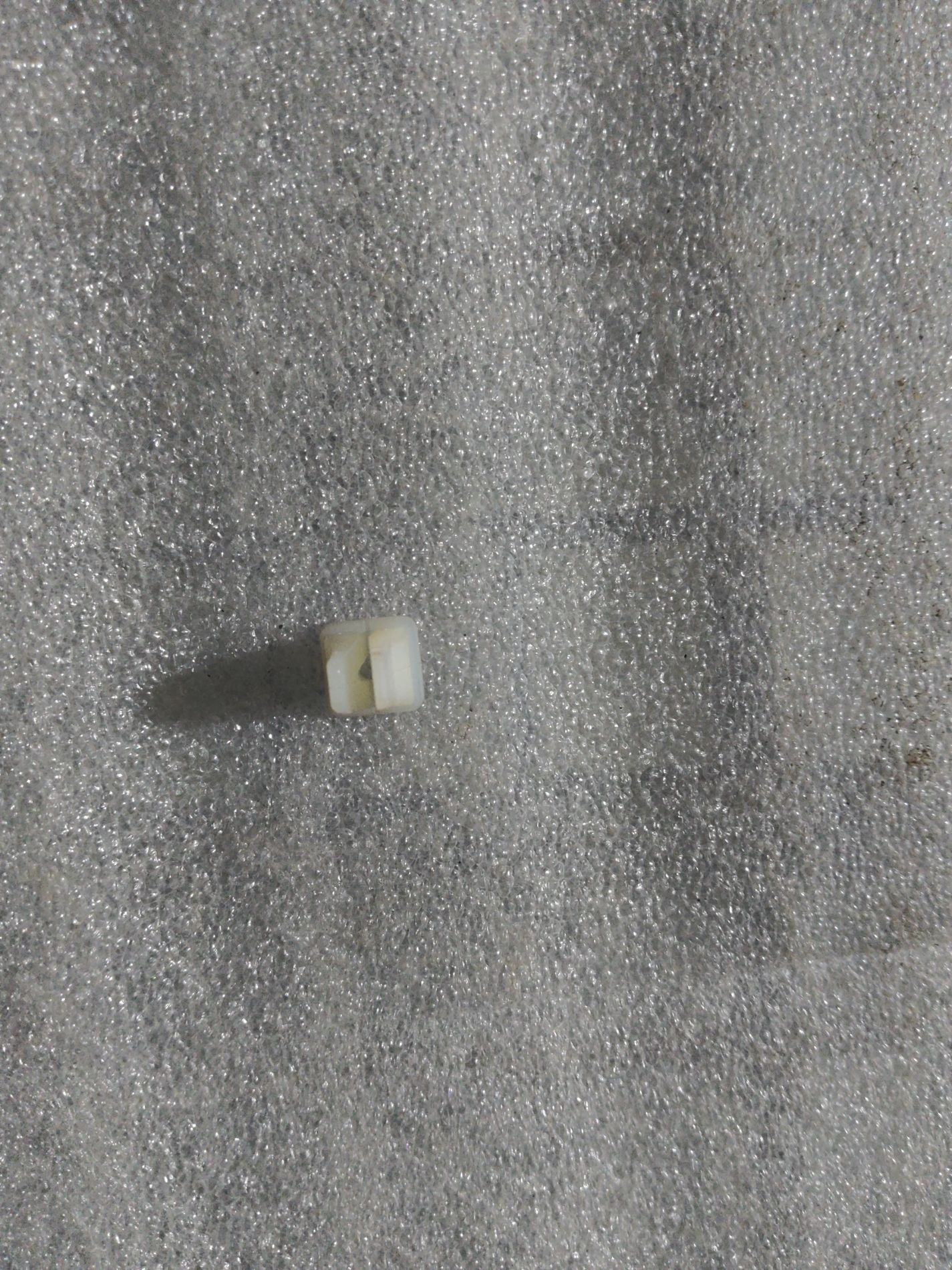 Segment view 3